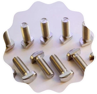 Petrochemical T-Bolt